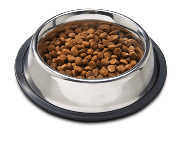 bowlofdogfood pawTree dog food